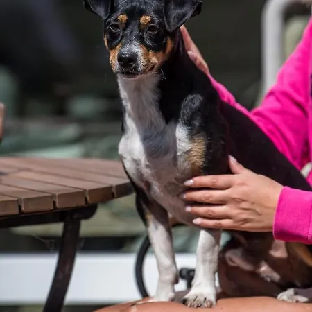 Hotel Alter Landkrug